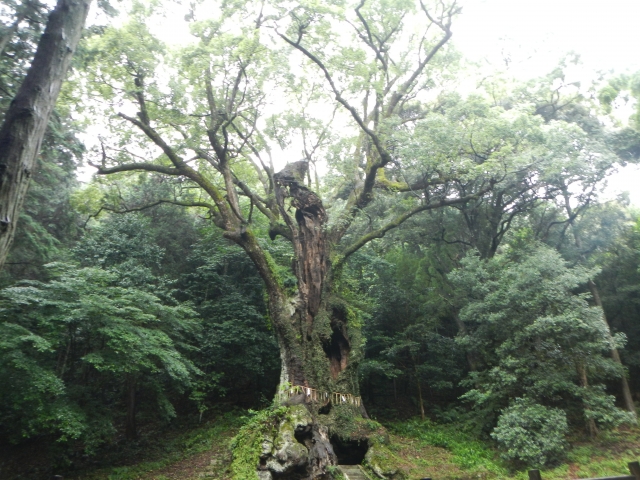 7月
